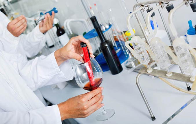 İçecek Testleri
